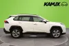 Toyota RAV4 2,5 Hybrid AWD-i Executive / Adapt. Vakkari / Ve Thumbnail 2